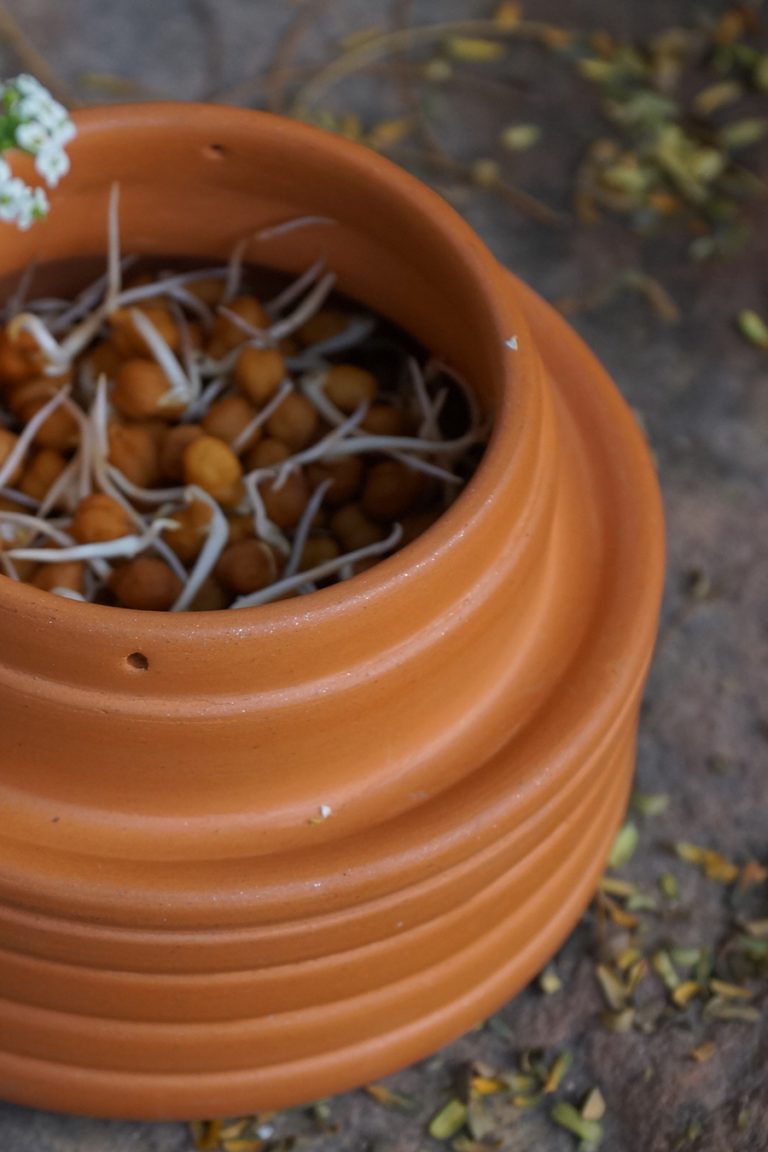 SELF WATERING