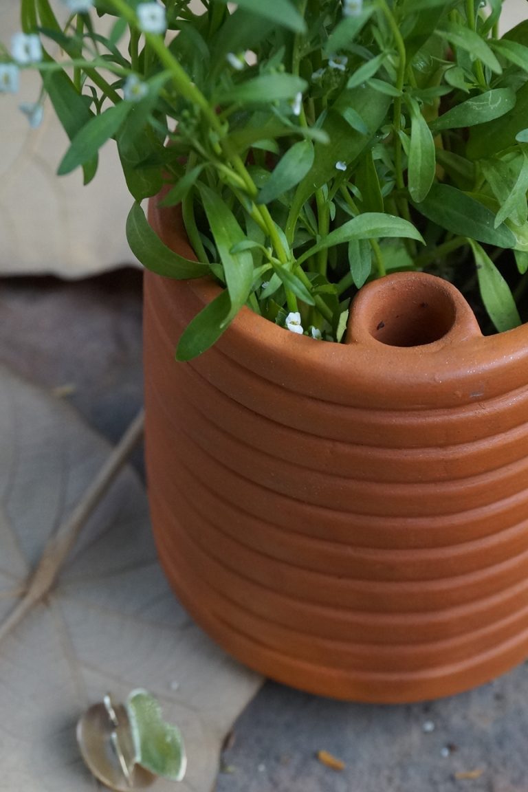 SELF WATERING