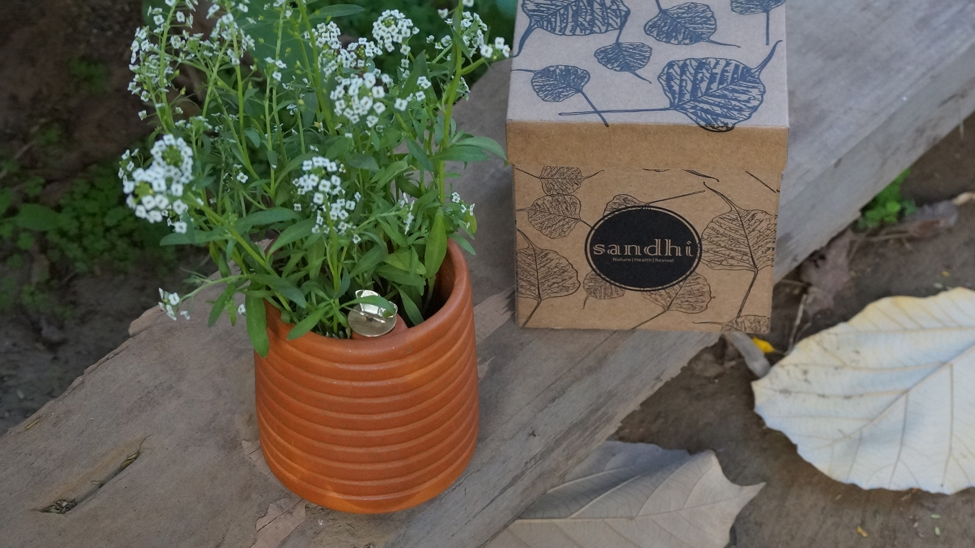 Tableware Product Design Sandhi
