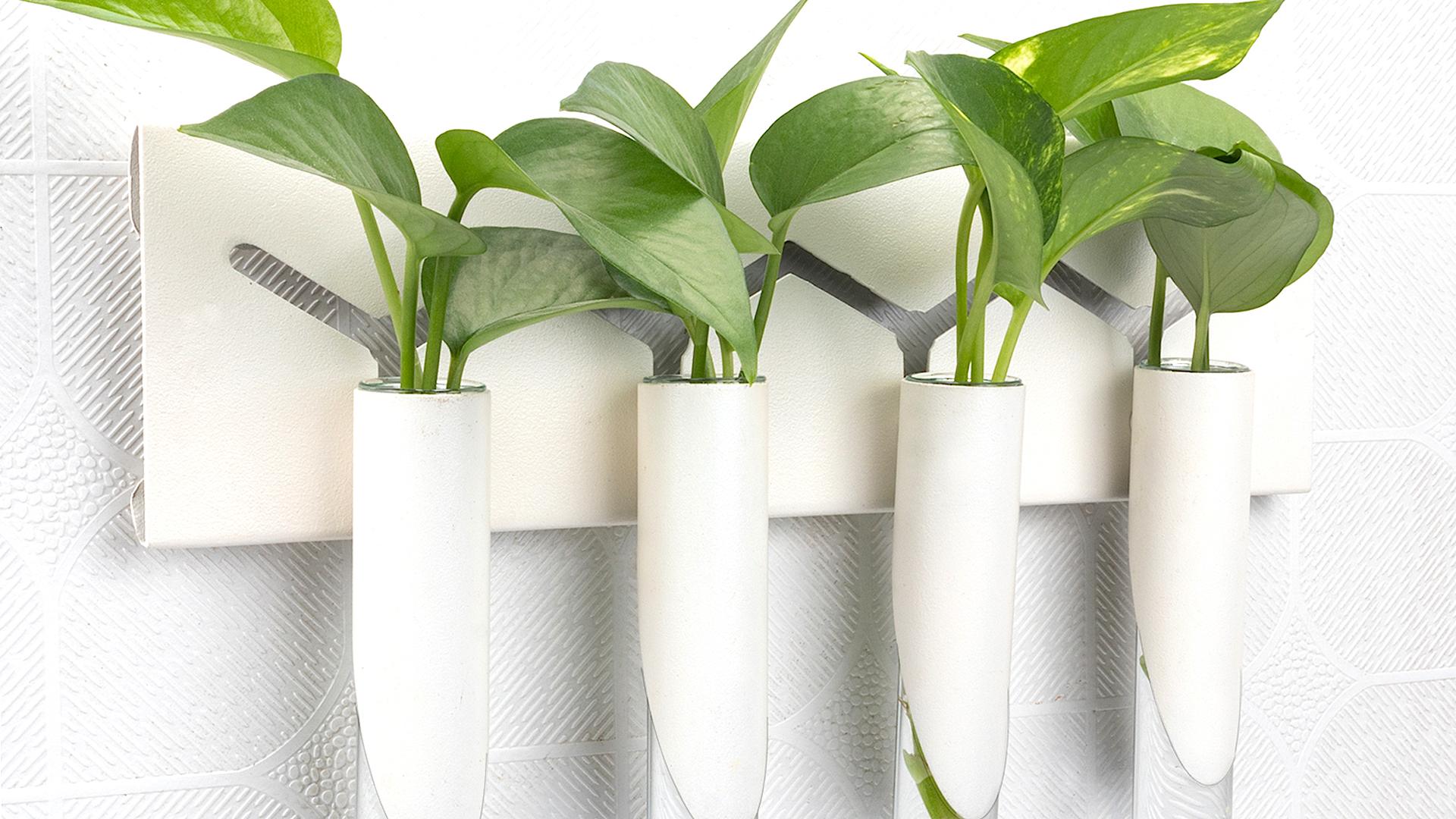 testtube product design