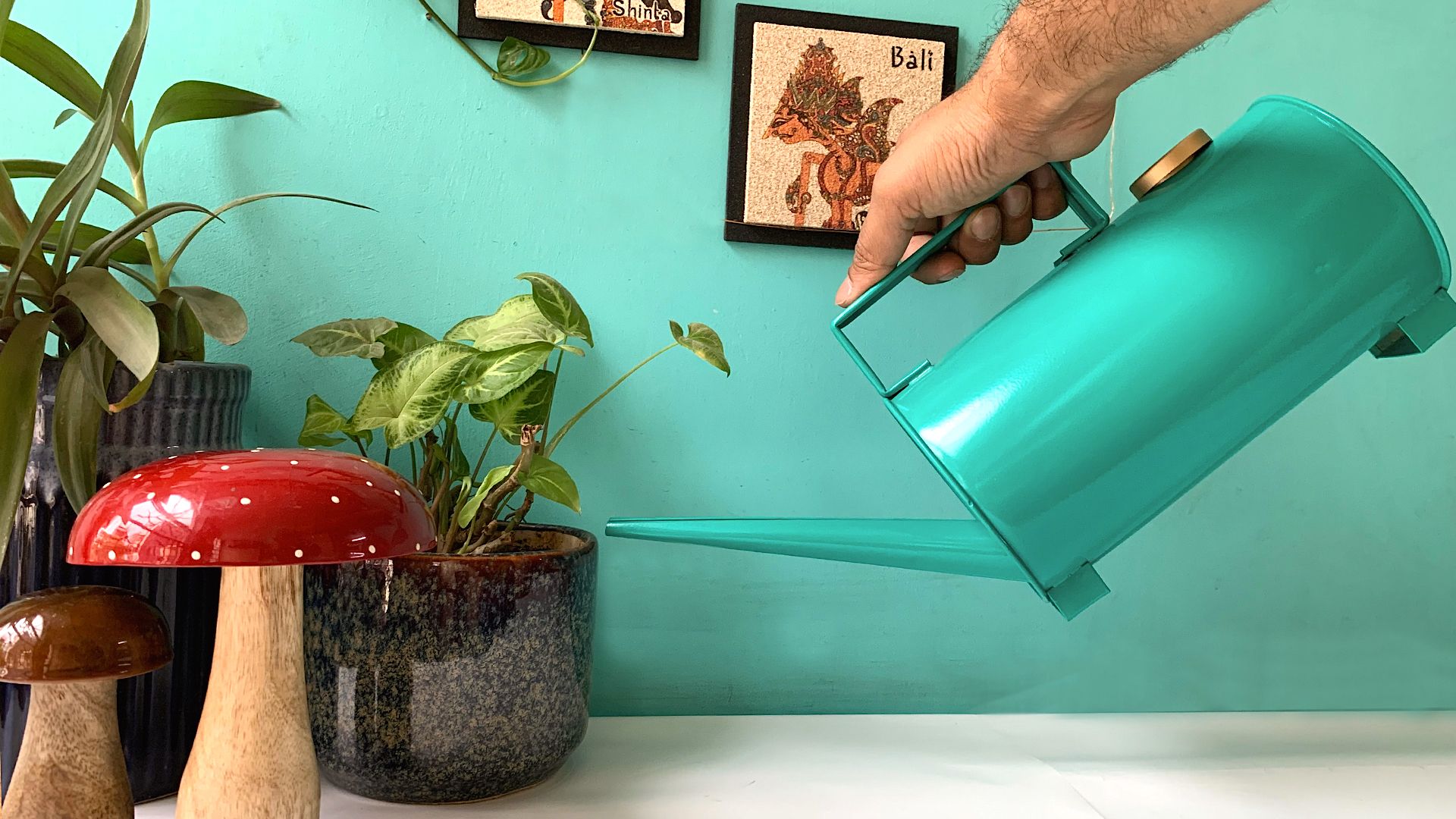 Watering Can