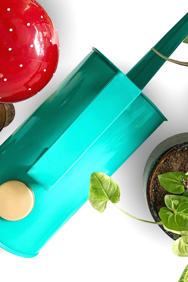 Watering Can for Plants